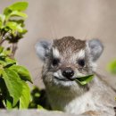 아빠두리만든떡볶이 이미지
