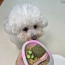 [어페일블루닷] 강아지 화식 신선식품 &#39;프레시밀(Fresh meal)&#39;