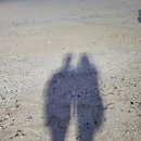 두손횟집 | 재방문 하고싶은 대천 두손횟집 내돈내산 후기