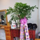동연디자인대구