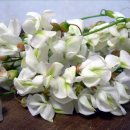 향기5로 이미지