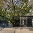 AK유치원 이미지