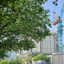 문화회관사거리 2 이미지