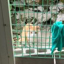 청기와민박 이미지