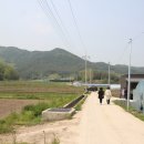 자연한우농장 이미지