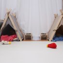 모던켄넬 이미지