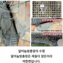 6866 | 대전방충망 벌레 많은 숲세권아파트 유성 노은리슈빌 미세촘촘망으로 교체