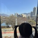 CU충주중원대로점 | 충주 5살 아이와 가볼 만한 곳 여행 코스 1박2일, 수안보 수호텔·해담별·라바랜드 후기 251115~16