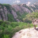 양지-2742 이미지