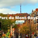 캐나다 몬트리올 최고 전망대 몽 로열(Mont Royal) 이미지