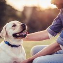 다오동물병원 이미지