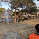 강원특별자치도산림박물관 | 강원특별자치도립화목원 강원도산림박물관 아이 동반 최고