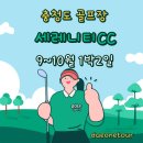 대원투어 이미지