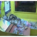 인형뽑기 이미지