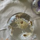 페이퍼글라스 아트 이미지