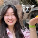 버스정류장 06-288 | [푸꾸옥] 여자혼자 해외여행 2일차 (그랜드월드/빈펄사파리/빈원더스/벱냐레스토랑/유주스파)