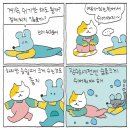 영미니네 이미지