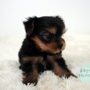 수원-0918 이미지