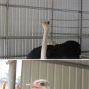 종문농장 이미지