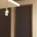 허브랜드 민박 이미지