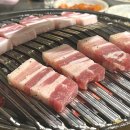 정사장네 갈매기 이미지