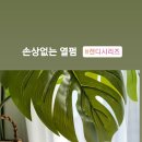 마잘 이미지