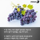 포도송이 이미지
