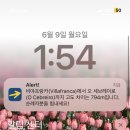 비어조
