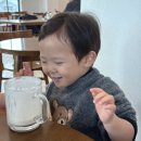 도윤목장 이미지