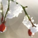 기분좋은날 이미지