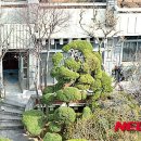 본가 - 유성구 노은로 71 | 본가
