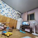 에덴민박 | 🏡태안 파도리 해수욕장 송림민박 후기: 여름 날의 추억