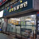 봄빛동물병원