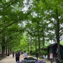 담양동물약국 | 2025년 6월 1박 2일 담양+전주 나들이🌿