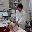 구미가축병원 이미지