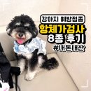 중앙동물병원 | 안산 동물병원 강아지 항체가검사 비용, 선부중앙동물의료센터 내돈내산 후기