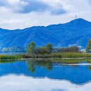 강가에아침 이미지