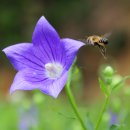 알리바바한의원 이미지