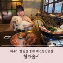 협재술시 | 제주도 애견동반 협재 술집 딱새우가 맛있었던 협재술시