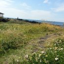 개물목장 이미지