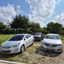 스카이블루 38 이미지