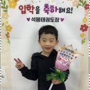 석봉태권도장 이미지