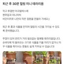 이끼다움