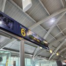 991 | 김해공항 출발 나트랑 비엣젯 비상구 좌석 지연 vj991 vj0919 후기 깜라인 공항 환전 픽업 택시