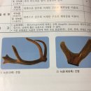 민들레하나한의원 네이버블로그