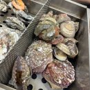 보령 천북굴단지 맛집 추천! “우리집굴수산”에서 배터지게 제철 굴 먹은 후기!