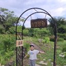 주인님이 나타났다! 이미지