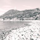 녹산등대가는길 이미지