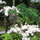 여미지식물원 이미지