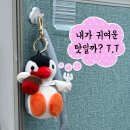 투썸플레이스 앞 | 투썸플레이스 핑구 콜라보 한정판 굿즈 MD 실물 후기(눈앞에서 품절;)